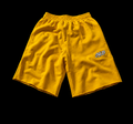 NLB shorts